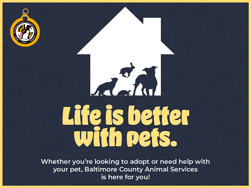 Baltimore County Animal Services (BCAS)