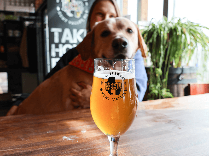 Breweries