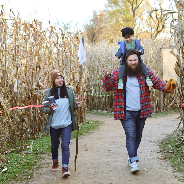 Family walking through the corn maze at Beachmont in Kingsville, Maryland