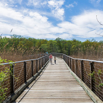 Marshy Point Nature Center