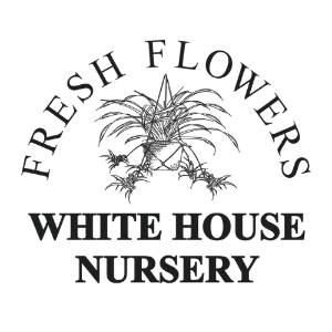 White House Nursery