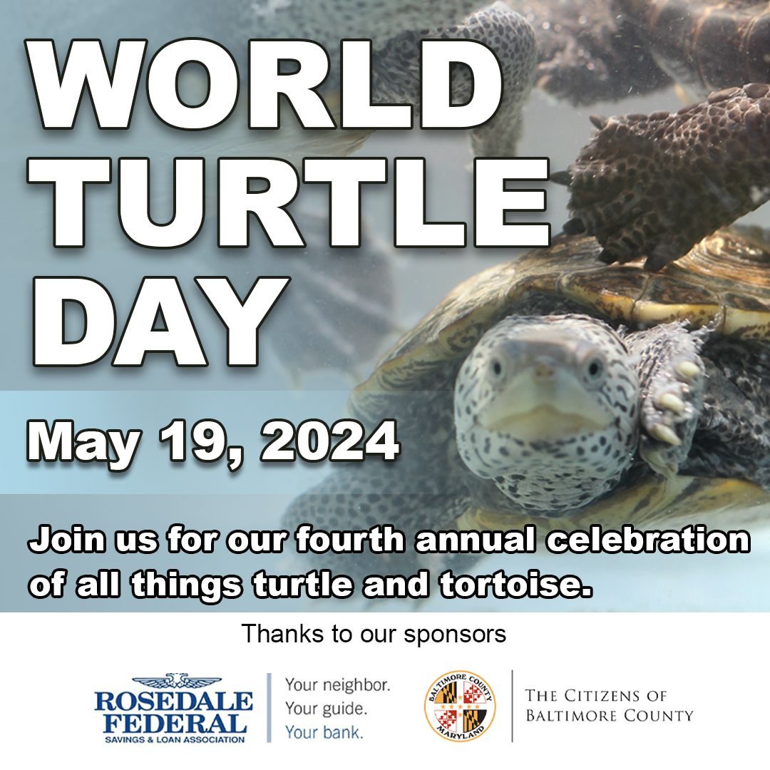 World Turtle Day