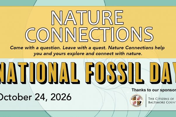 Following the Footsteps: National Fossil Day Nature Connections
