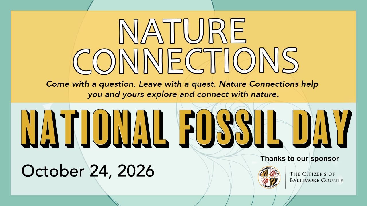 Following the Footsteps: National Fossil Day Nature Connections