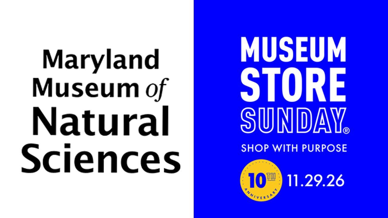 Museum Store Sunday at the Maryland Museum of Natural Sciences
