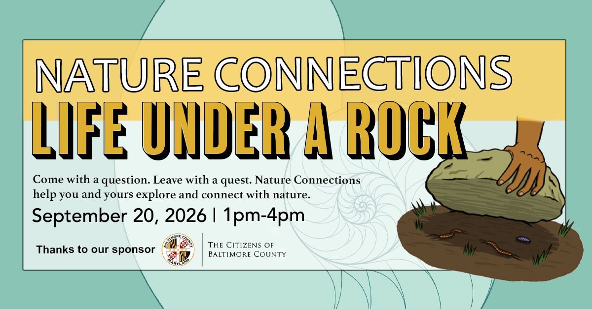 Life Under a Rock -What Lives on the Forest Floor?