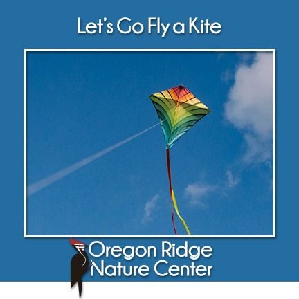 Let’s Go Fly A Kite