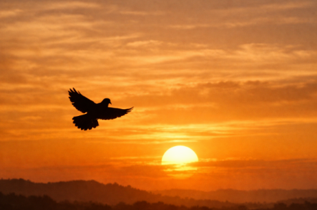 The Armed Man: A Mass for Peace