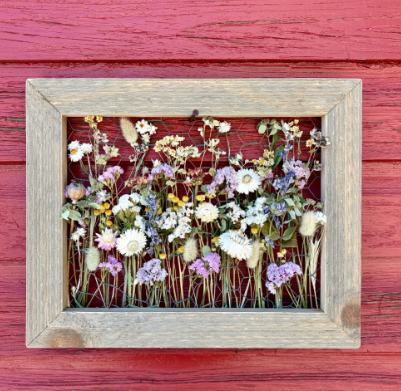Dried flower panels with Spore and Seed