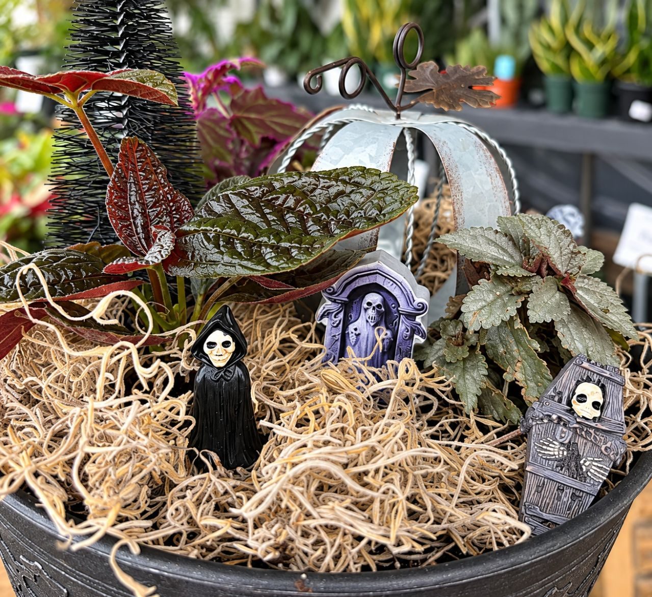 Pumpkins, Potions & Plants