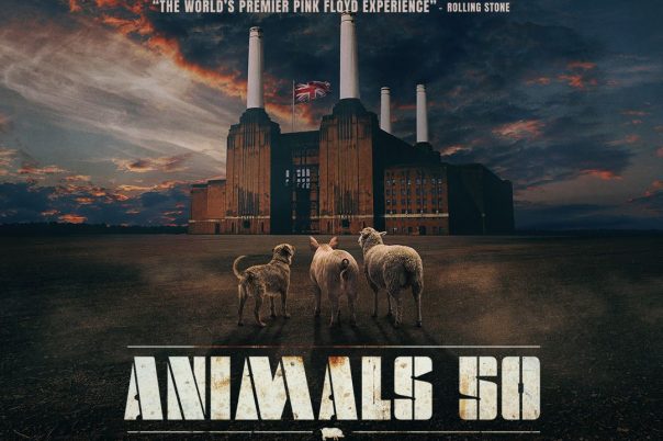 Brit Floyd – Animals 50