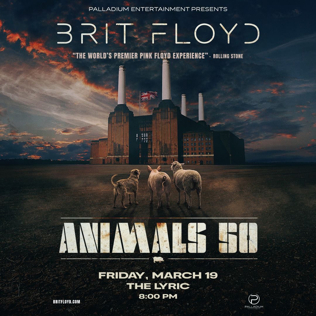 Brit Floyd – Animals 50