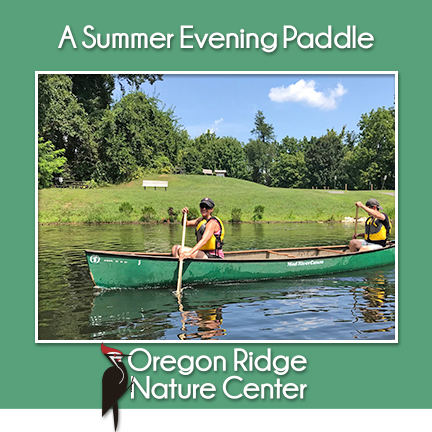 A Summer Evening Paddle