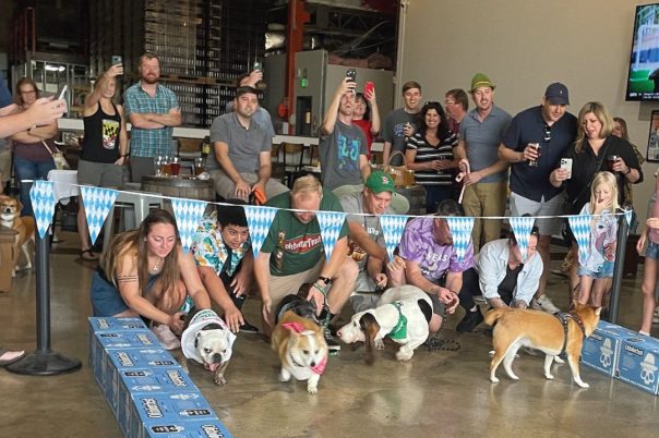 Oktoberfest & Wiener Dog WunderDash