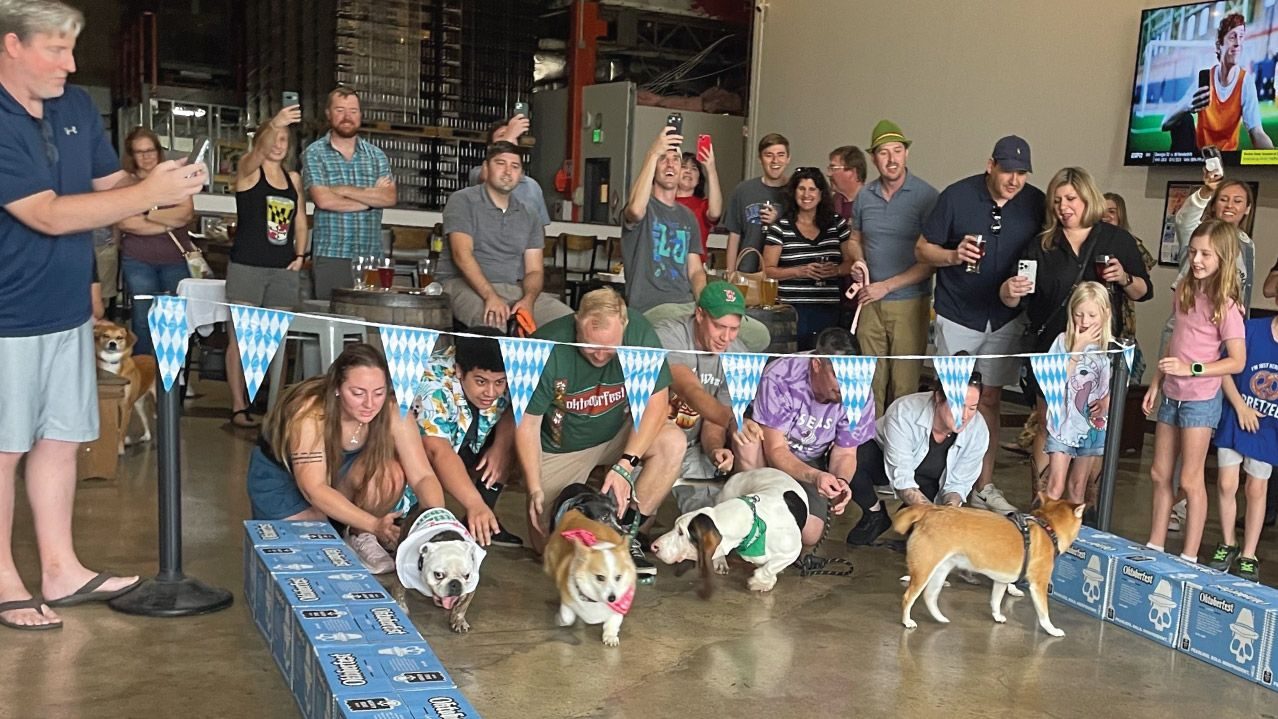 Oktoberfest & Wiener Dog WunderDash