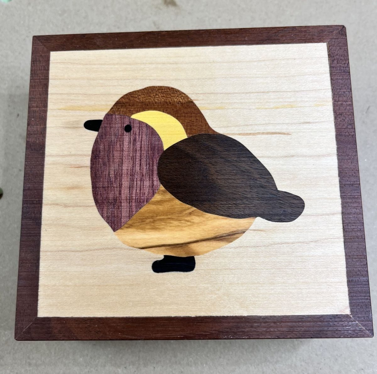 Beginner Double Bevel Marquetry with Tavi Harwood
