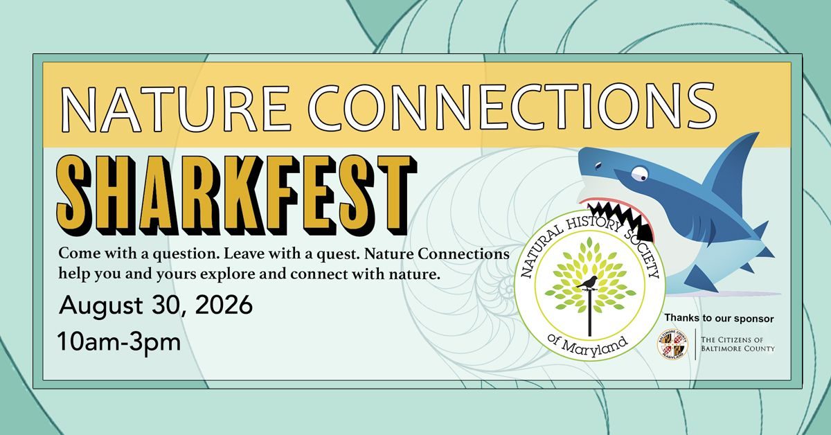 Sharkfest