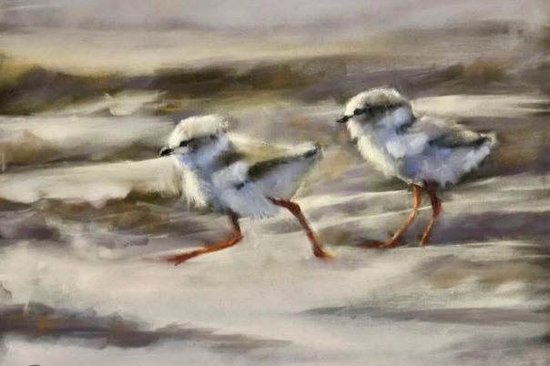 Feathered Friends in PanPastel