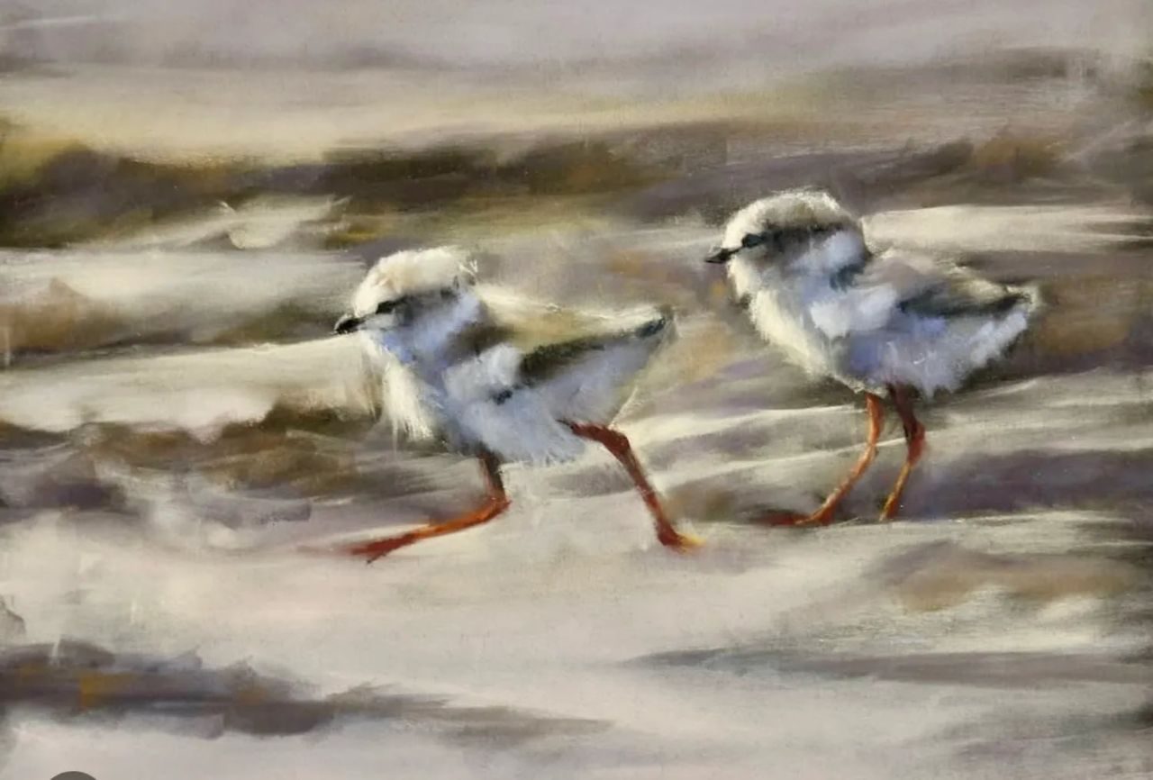 Feathered Friends in PanPastel