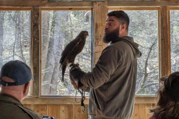 Intro to Raptors with MD School of Falconry