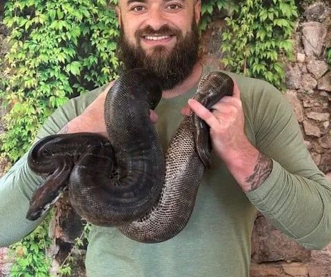 Reptile Extravaganza