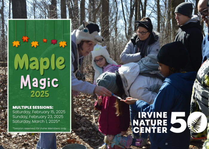 Maple Magic at Irvine Nature Center