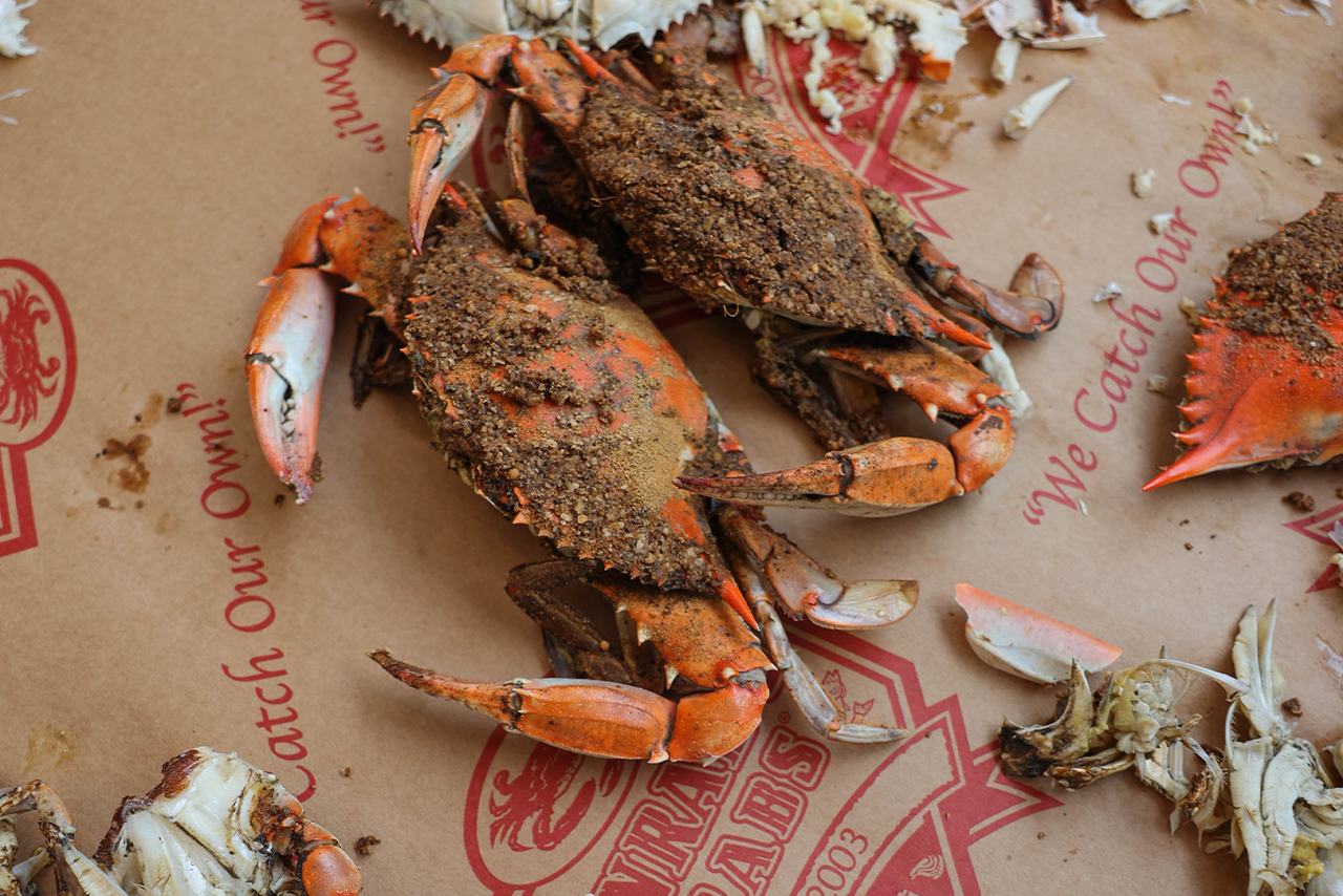 Two crabs on brown paper